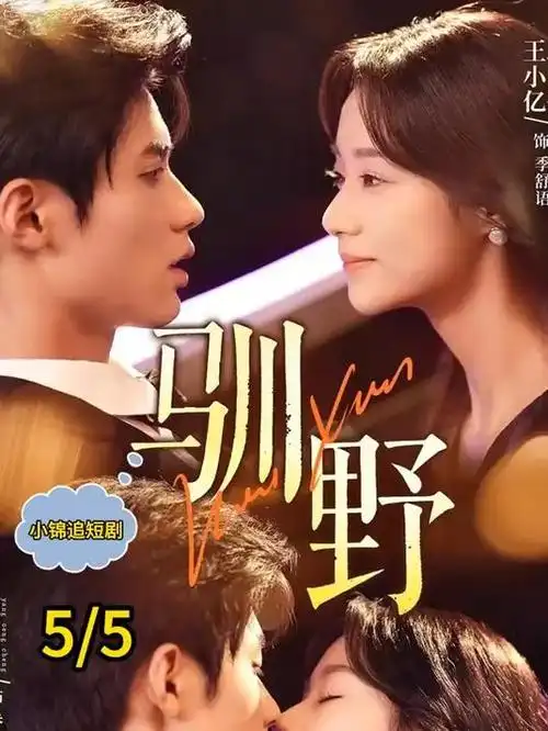 归途列车 热播电视剧全集免费看